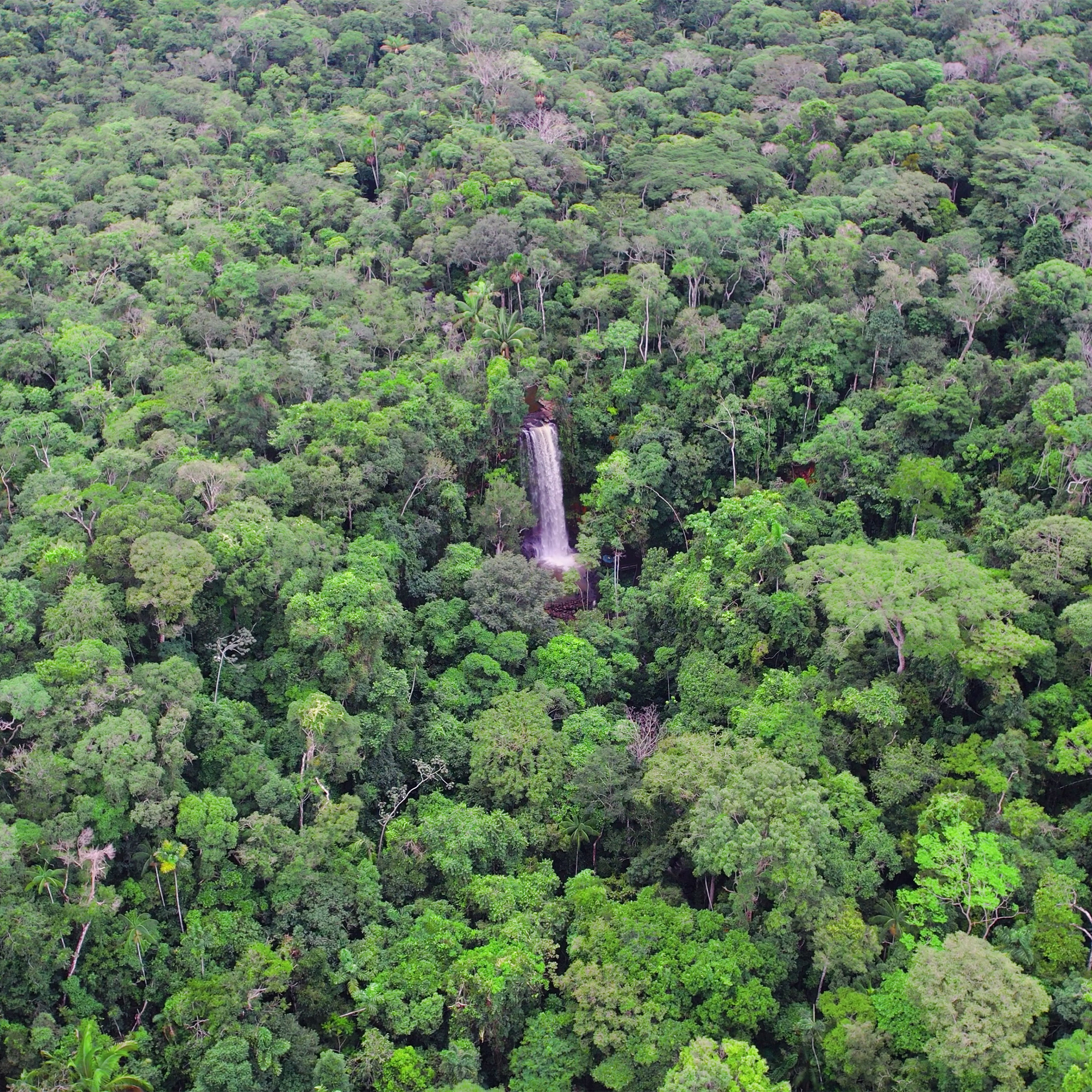 Atração CACHOEIRA